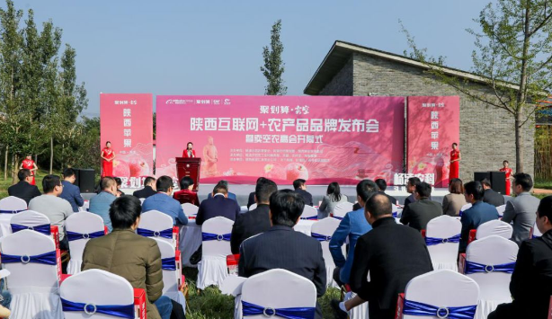 111591860812799614.png QQ瀏覽器截圖20200611152908.png